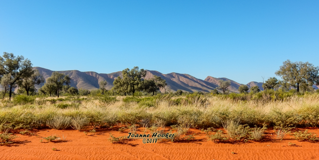 Docker River Range